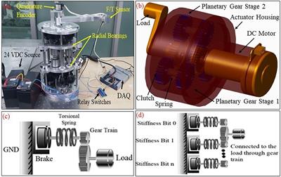 Modeling, Control, and Numerical Simulations of a Novel Binary-Controlled Variable Stiffness Actuator (BcVSA)